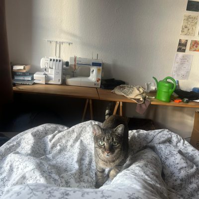 Seppl und Brummbär