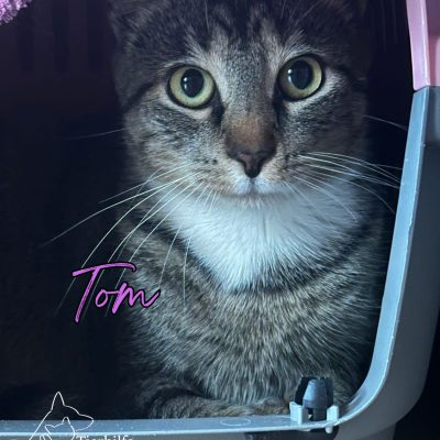 Tom