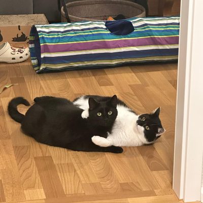 Neo & Balu