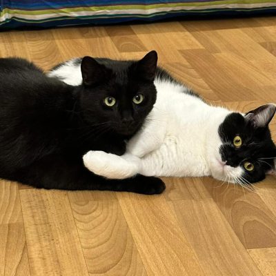 Neo & Balu
