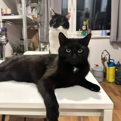 Neo & Balu