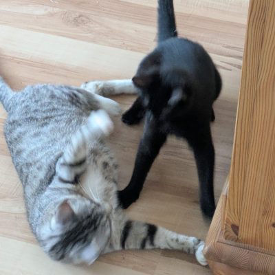 Yuna & Gusti