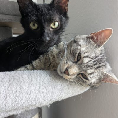 Yuna & Gusti