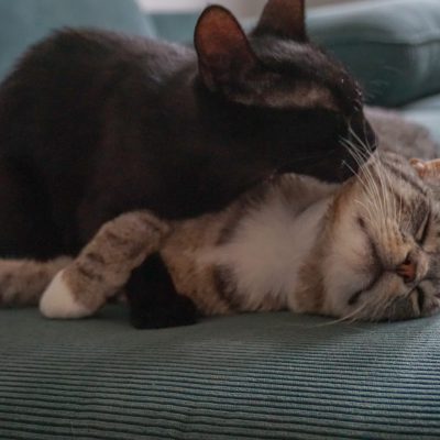 Yuna & Gusti