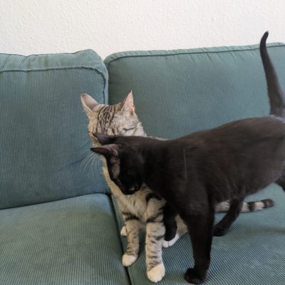 Yuna & Gusti