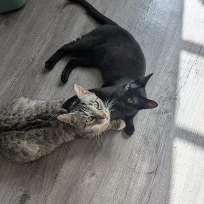 Yuna & Gusti