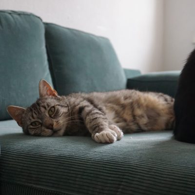 Yuna & Gusti