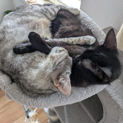 Yuna & Gusti