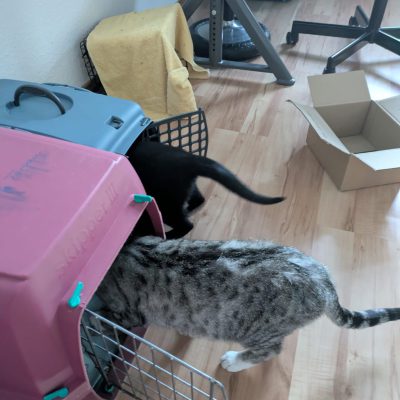 Yuna & Gusti