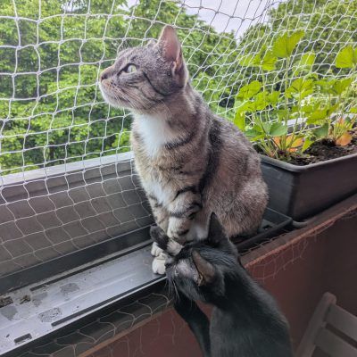 Yuna & Gusti