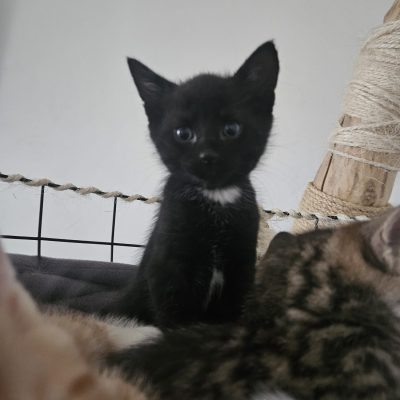 Ida, Eddy, Beeker, Egon & Mama