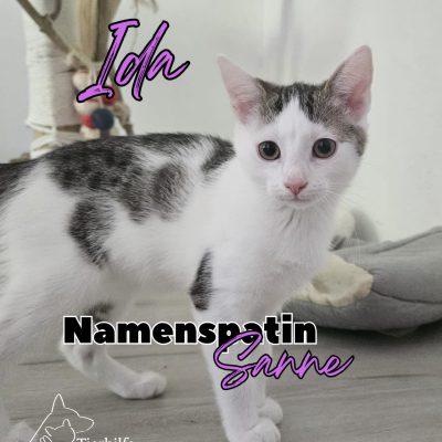 Ida, Eddy, Beeker, Egon & Mama