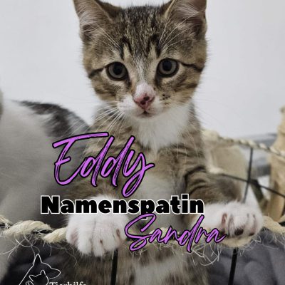Ida, Eddy, Beeker, Egon & Mama