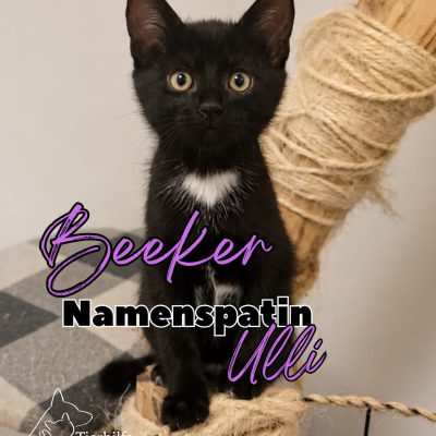 Ida, Eddy, Beeker, Egon & Mama