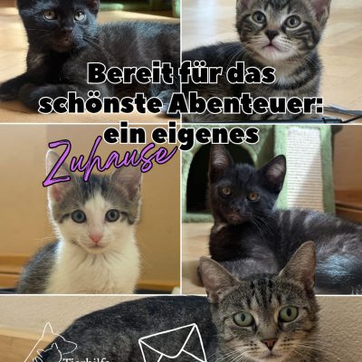 Ignaz