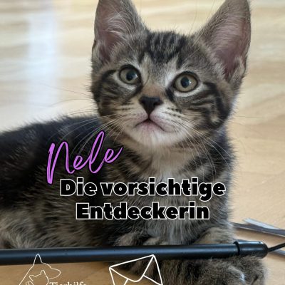 Nele