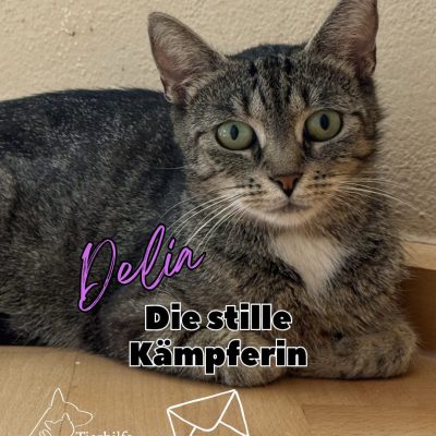 Delia