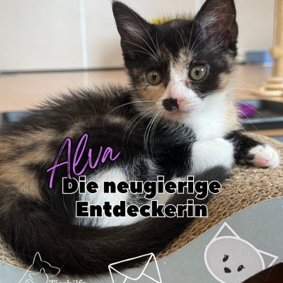 Alva