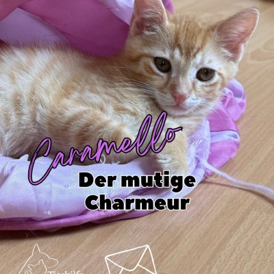 Caramello