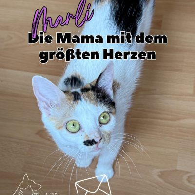 Marli