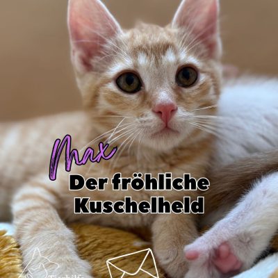 Max