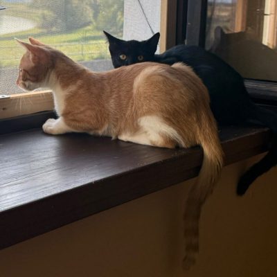 Reid und Luca