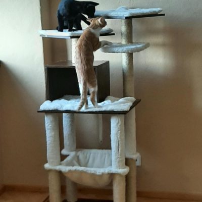 Reid und Luca