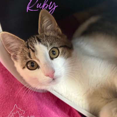 Ruby und Runa