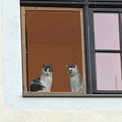 Ruby und Runa